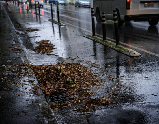 Imagen ilustrativa de una rejilla de drenaje pluvial con hojas y residuos junto a una calle mojada por la lluvia